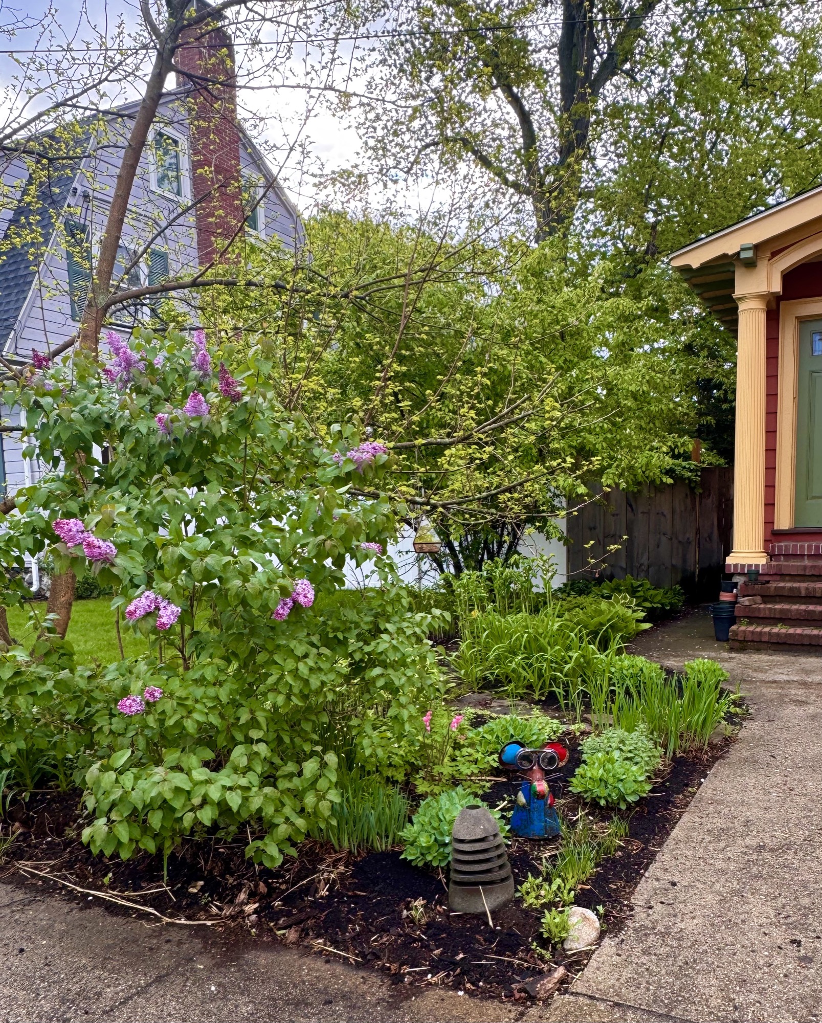 A lush perennial garden bed replacing a section of lawn, Arlington MA