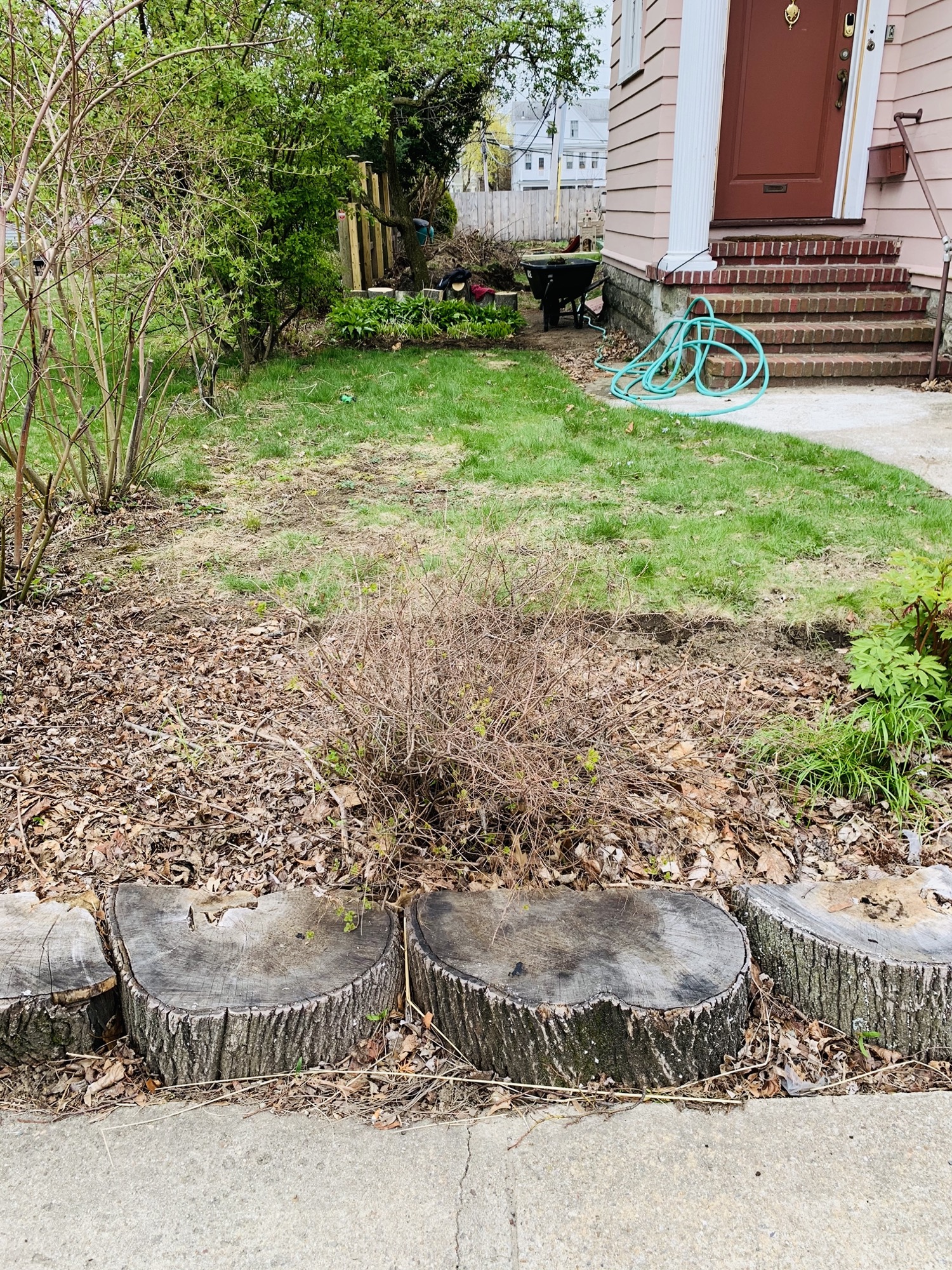 Front yard garden process photo 1