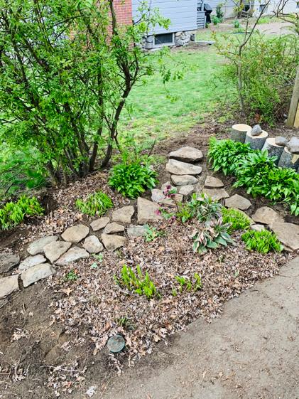 Front yard garden process photo 3