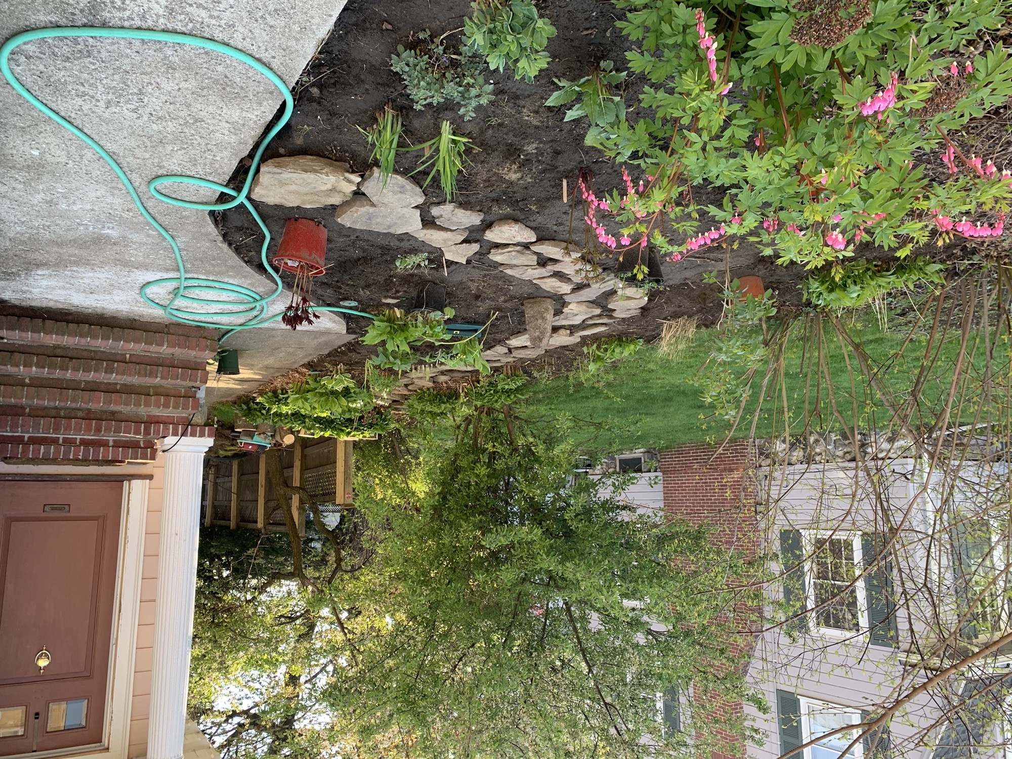 Front yard garden process photo 4