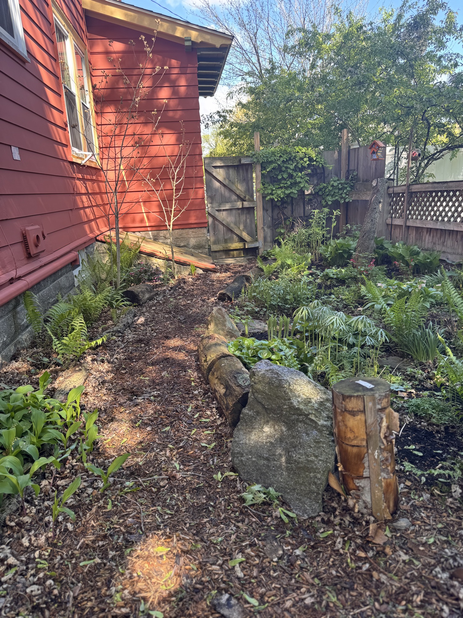 Lush shade garden with curved path