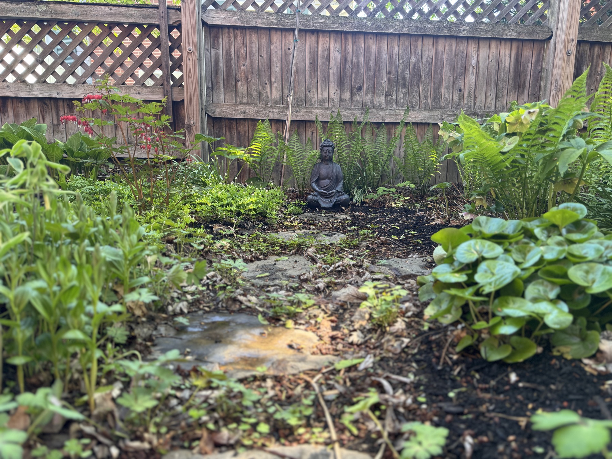 Lush shade garden detail 1
