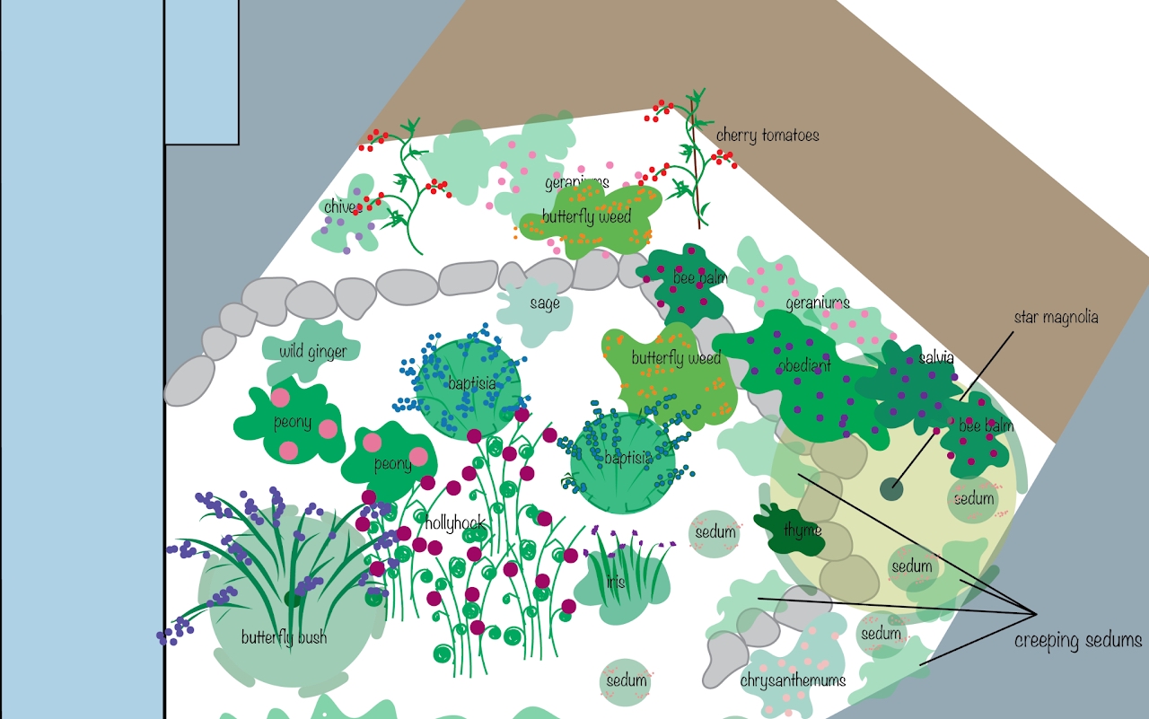 Design and planting plan