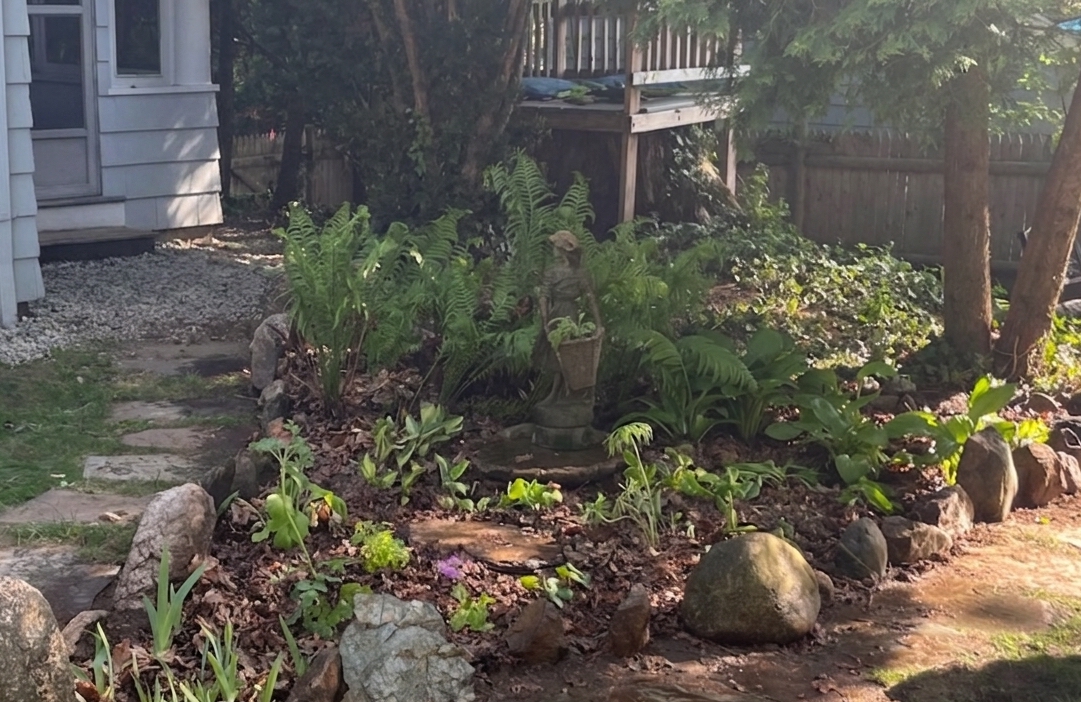 Shade garden replacing a patch of unused lawn