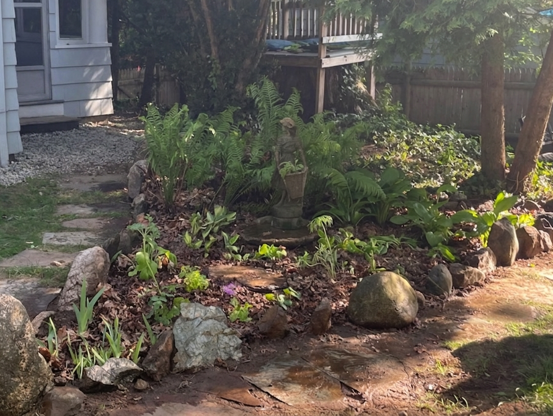 Shade garden replacing unused patch of lawn