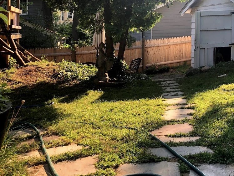 Before: unused lawn patch