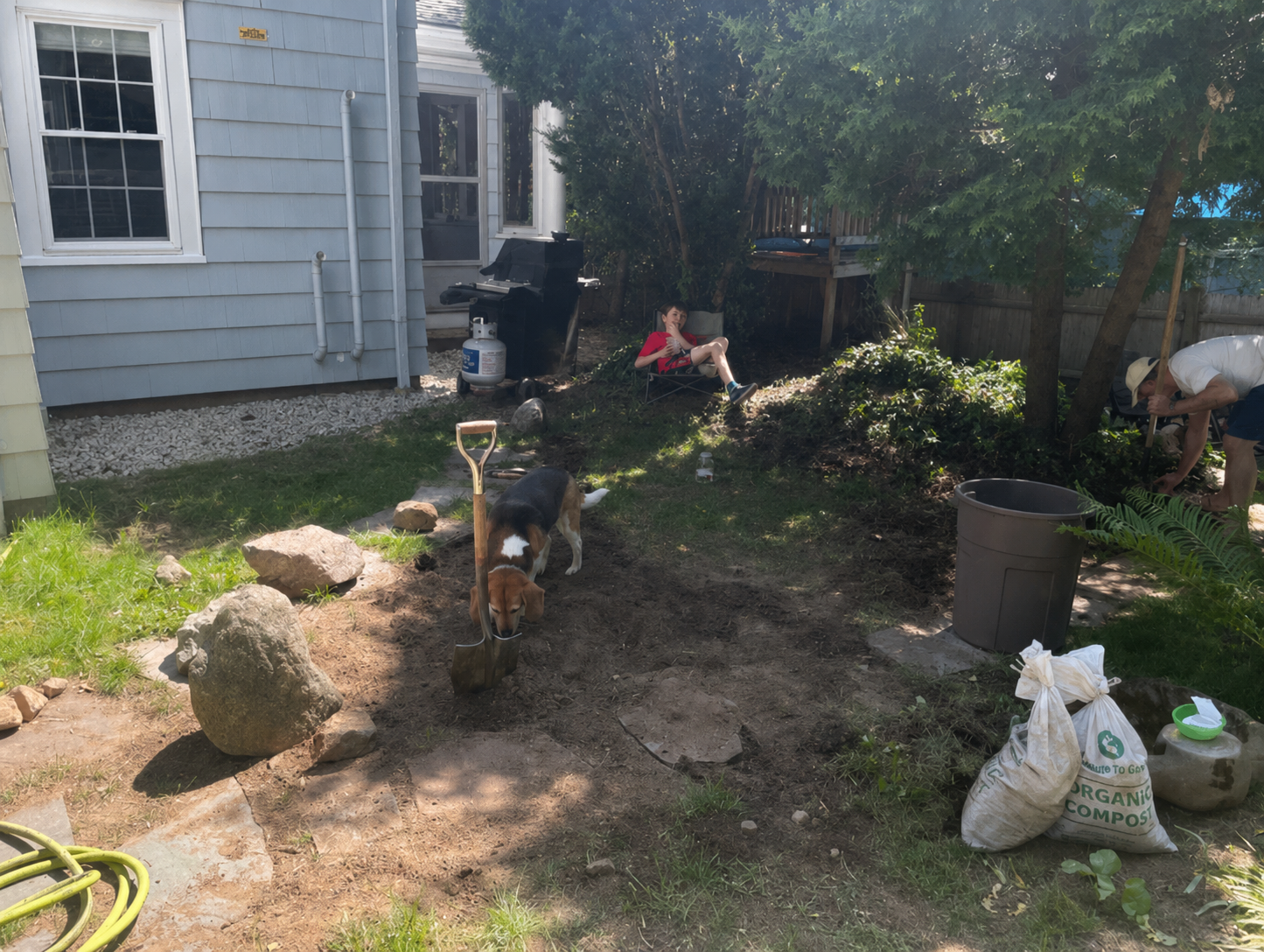 During: newly planted shade garden